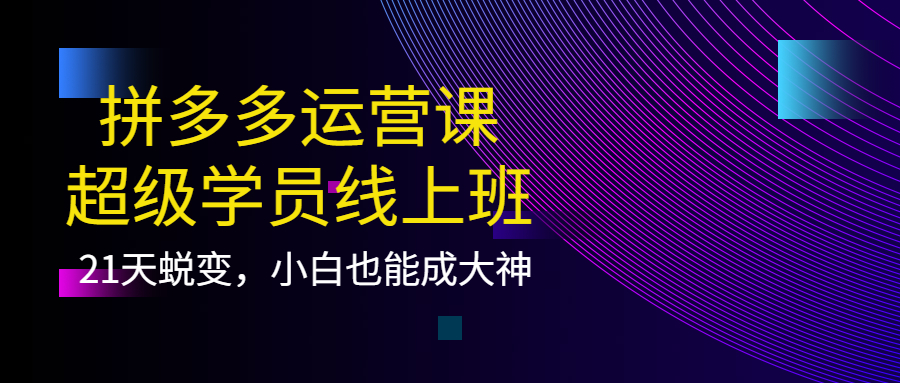 拼多多运营课：超级学员线上班，21天蜕变，小白也能成大神创业之家-网创项目资源站-副业项目-创业项目-搞钱项目创业之家