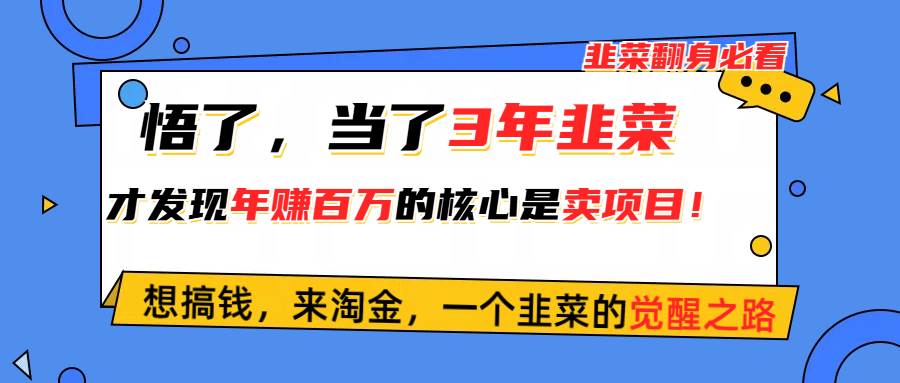 悟了，当了3年韭菜，才发现网赚圈年赚100万的核心是卖项目，含泪分享！创业之家-网创项目资源站-副业项目-创业项目-搞钱项目创业之家