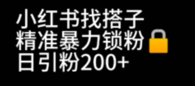 小红书找搭子暴力精准锁粉+引流日引200+精准粉创业之家-网创项目资源站-副业项目-创业项目-搞钱项目创业之家