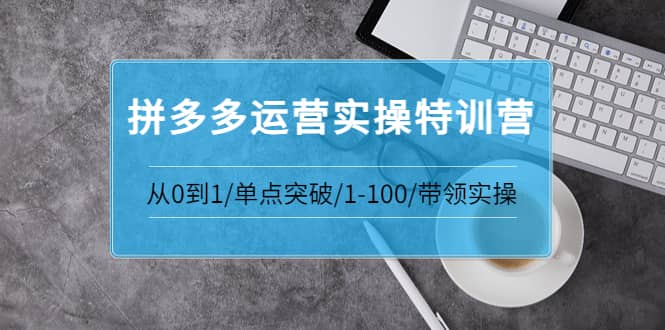 拼多多运营实操特训营：从0到1/单点突破/1-100/带领实操 价值2980元创业之家-网创项目资源站-副业项目-创业项目-搞钱项目创业之家