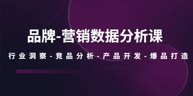 品牌-营销数据分析课，行业洞察-竞品分析-产品开发-爆品打造创业之家-网创项目资源站-副业项目-创业项目-搞钱项目创业之家
