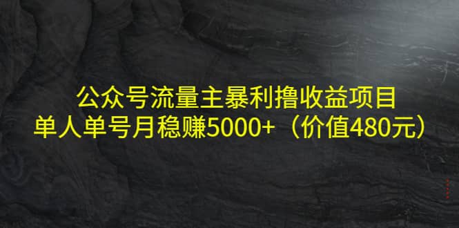 公众号流量主暴利撸收益项目，单人单号月稳赚5000+（价值480元）创业之家-网创项目资源站-副业项目-创业项目-搞钱项目创业之家