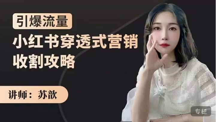 小红书穿透式营销收割攻略，引爆流量，助你玩转小红书创业之家-网创项目资源站-副业项目-创业项目-搞钱项目创业之家
