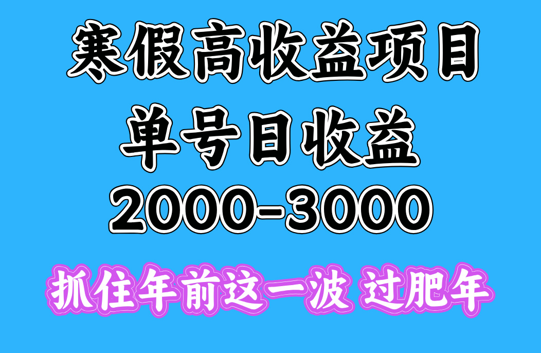寒假期间一天收益2000-3000+，抓住年前这一波创业之家-网创项目资源站-副业项目-创业项目-搞钱项目创业之家