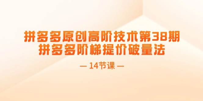 拼多多原创高阶技术第38期，拼多多阶梯提价破量法（14节课）创业之家-网创项目资源站-副业项目-创业项目-搞钱项目创业之家
