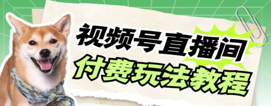 视频号美女付费无人直播，轻松日入500+【详细玩创业之家-网创项目资源站-副业项目-创业项目-搞钱项目创业之家