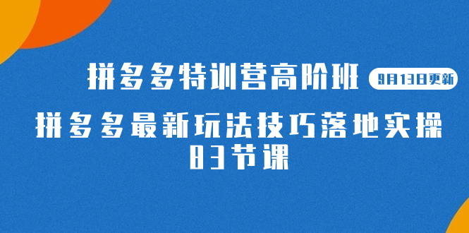 2023拼多多·特训营高阶班【9月13日更新】拼多多最新玩法技巧落地实操-83节创业之家-网创项目资源站-副业项目-创业项目-搞钱项目创业之家