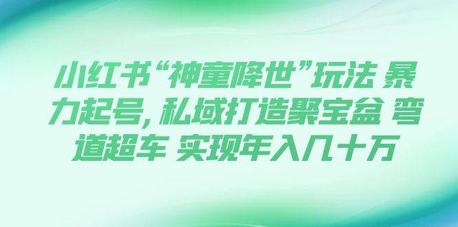 小红书“神童降世”玩法 暴力起号,私域打造聚宝盆 弯道超车 实现年入几十万创业之家-网创项目资源站-副业项目-创业项目-搞钱项目创业之家