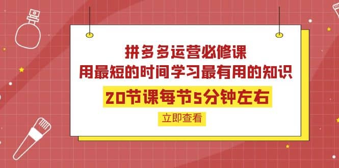拼多多运营必修课：20节课每节5分钟左右，用最短的时间学习最有用的知识创业之家-网创项目资源站-副业项目-创业项目-搞钱项目创业之家