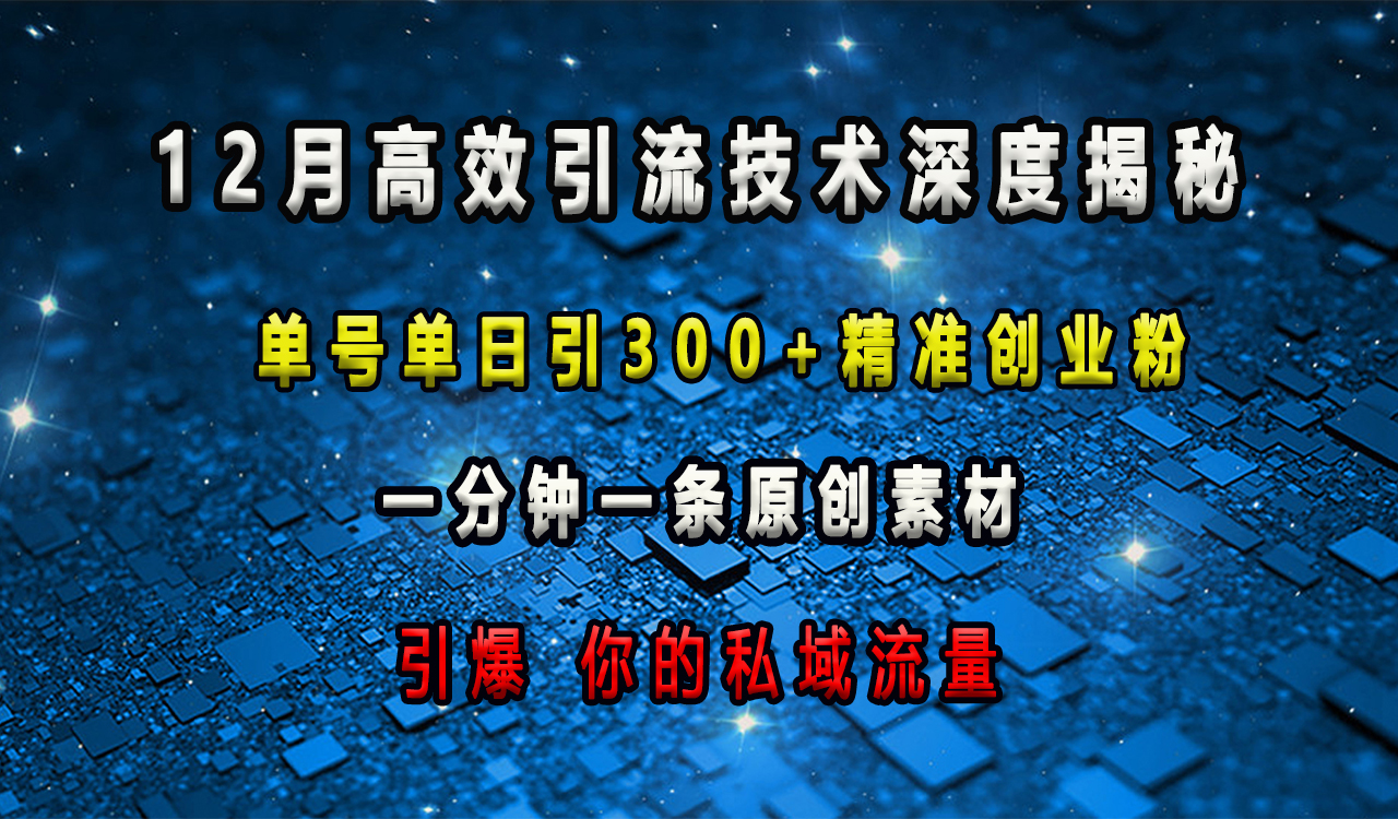 12月高效引流技术深度揭秘 ，单号单日引300+精准创业粉，一分钟一条原创素材，引爆你的私域流量创业之家-网创项目资源站-副业项目-创业项目-搞钱项目创业之家
