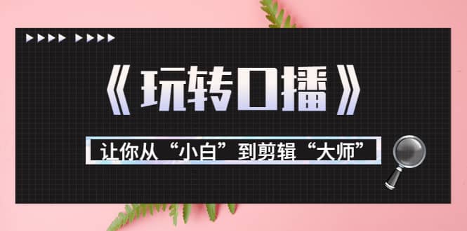 月营业额700万+大佬教您《玩转口播》让你从“小白”到剪辑“大师”创业之家-网创项目资源站-副业项目-创业项目-搞钱项目创业之家