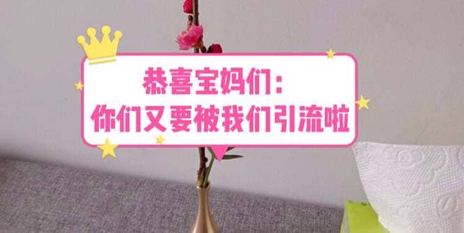 恭喜宝妈们：你们又要被我们引流了（教程+222g资料）创业之家-网创项目资源站-副业项目-创业项目-搞钱项目创业之家
