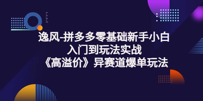 拼多多零基础新手小白入门到玩法实战《高溢价》异赛道爆单玩法实操课创业之家-网创项目资源站-副业项目-创业项目-搞钱项目创业之家