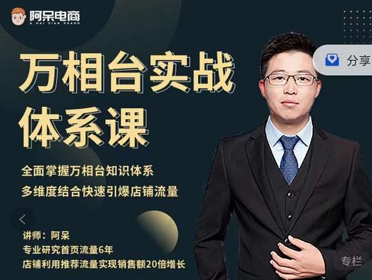阿呆-万相台实战体系课，帮您全面掌握万相台知识体系创业之家-网创项目资源站-副业项目-创业项目-搞钱项目创业之家