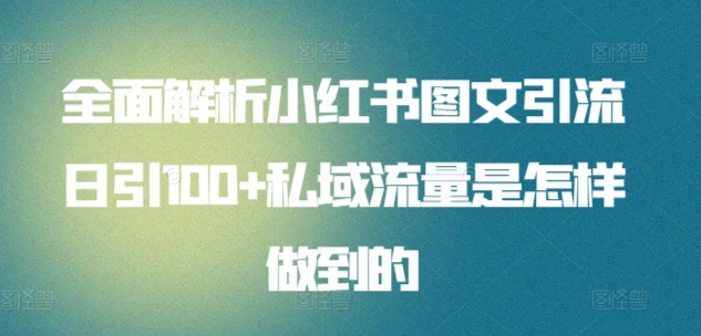 全面解析小红书图文引流日引100私域流量是怎样做到的创业之家-网创项目资源站-副业项目-创业项目-搞钱项目创业之家