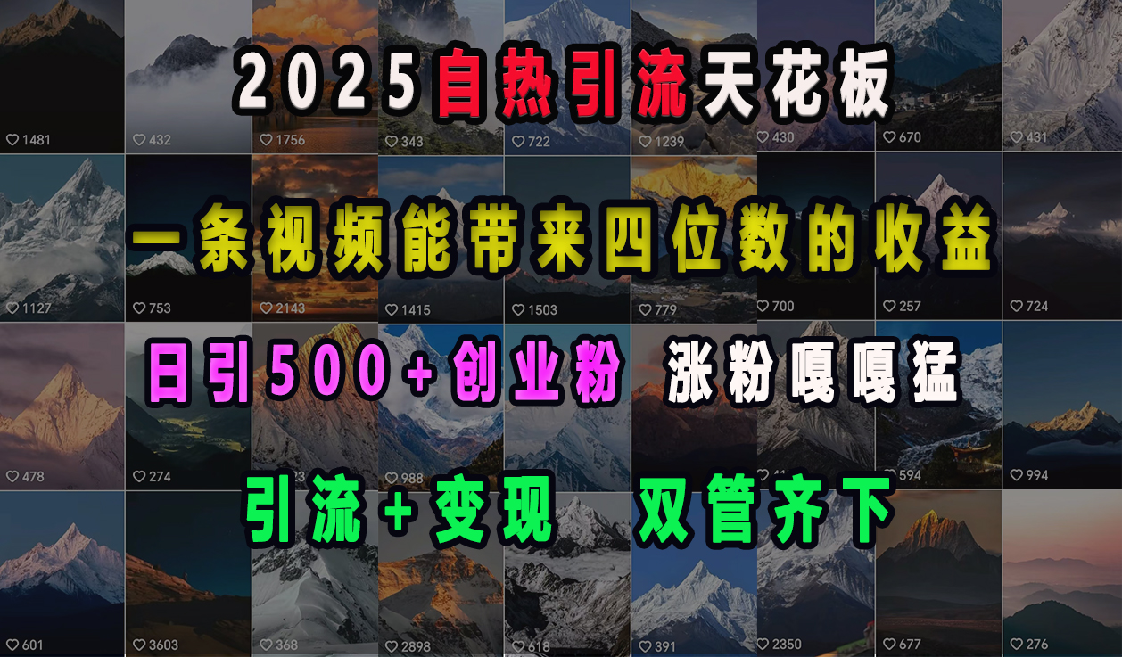 2025自热引流天花板，一条视频能带来四位数的收益，引流+变现双管齐下，日引500+创业粉，涨粉嘎嘎猛创业之家-网创项目资源站-副业项目-创业项目-搞钱项目创业之家