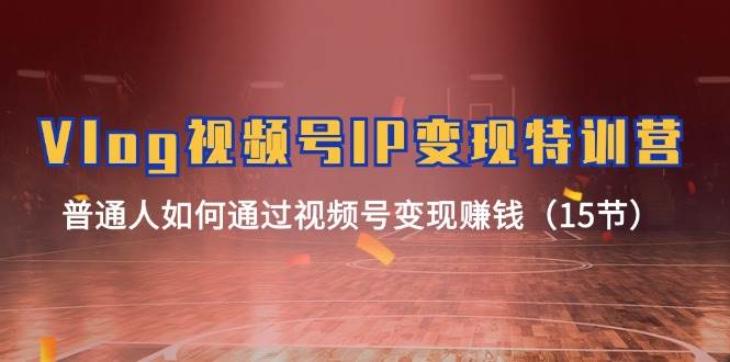 Vlog 视频号IP变现特训营，普通人如何通过视频号变现赚钱（15节）创业之家-网创项目资源站-副业项目-创业项目-搞钱项目创业之家