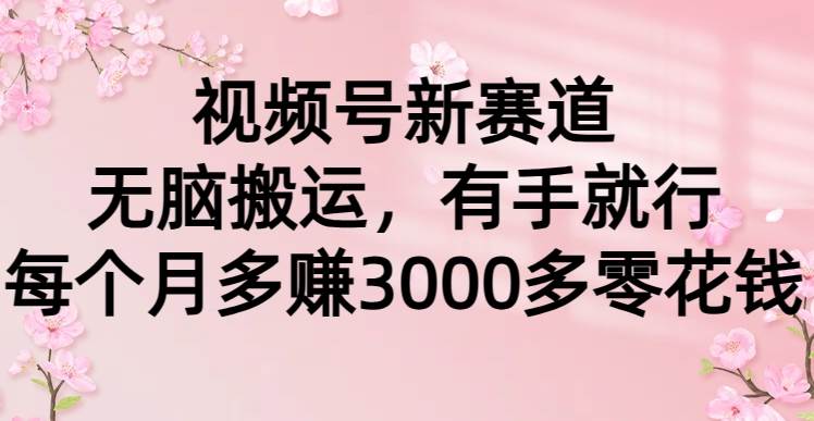 视频号新赛道，无脑搬运，有手就行，每个月多赚3000多零花钱创业之家-网创项目资源站-副业项目-创业项目-搞钱项目创业之家