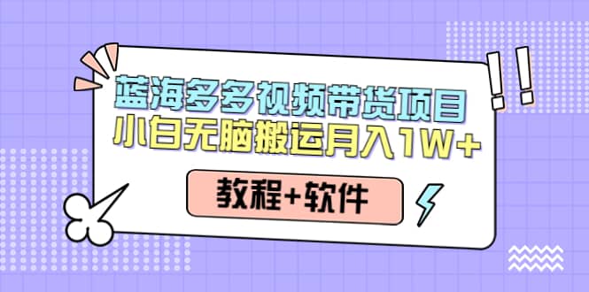 人人都能操作的蓝海多多视频带货项目 小白无脑搬运（教程+软件）创业之家-网创项目资源站-副业项目-创业项目-搞钱项目创业之家