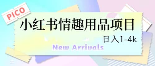 最新小红书情趣用品项目，日入1-4k创业之家-网创项目资源站-副业项目-创业项目-搞钱项目创业之家
