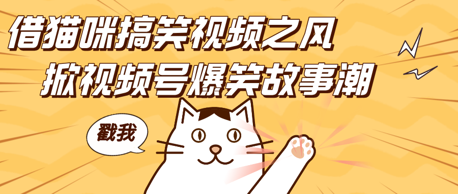 借猫咪搞笑视频之风，掀视频号爆笑故事潮，轻松日赚四位数，开启无门槛赚钱新体验！创业之家-网创项目资源站-副业项目-创业项目-搞钱项目创业之家