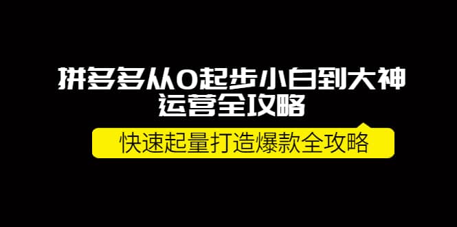 拼多多从0起步小白到大神运营全攻略创业之家-网创项目资源站-副业项目-创业项目-搞钱项目创业之家