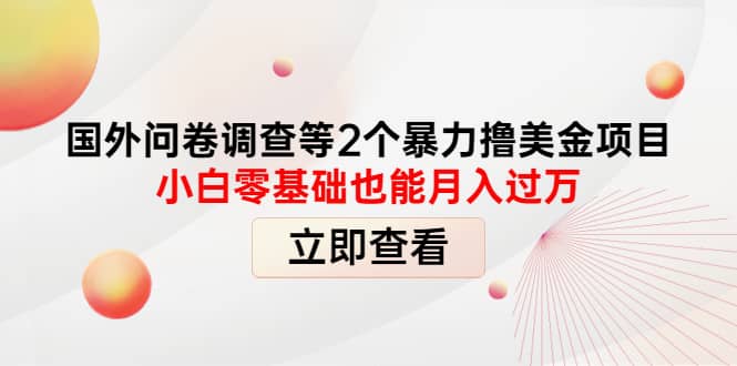 国外问卷调查等2个暴力撸美元项目，小白零基础也能月入过万创业之家-网创项目资源站-副业项目-创业项目-搞钱项目创业之家