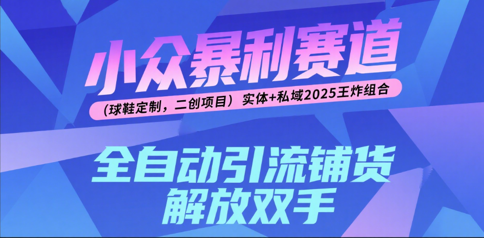楠—小众暴利赛道（球鞋定制，二创项目）实体+私域2025王炸组合创业之家-网创项目资源站-副业项目-创业项目-搞钱项目创业之家