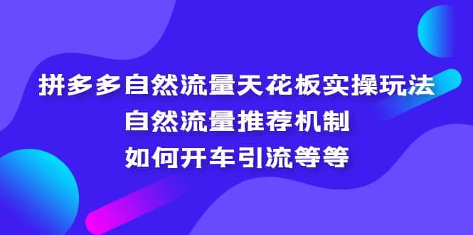 拼多多自然流量天花板实操玩法：自然流量推荐机制，如何开车引流等等创业之家-网创项目资源站-副业项目-创业项目-搞钱项目创业之家