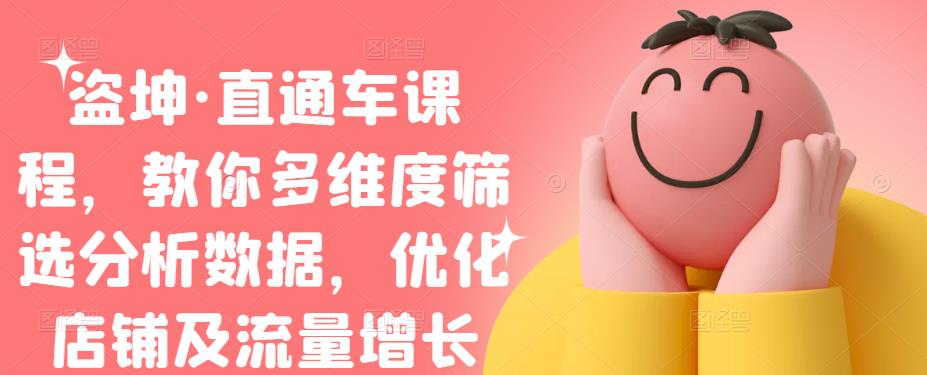 盗坤·直通车课程，教你多维度筛选分析数据，优化店铺及流量增长创业之家-网创项目资源站-副业项目-创业项目-搞钱项目创业之家