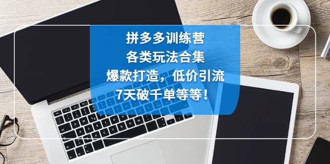 拼多多训练营：各玩法合集，爆款打造，低价引流，7天破千单等等创业之家-网创项目资源站-副业项目-创业项目-搞钱项目创业之家