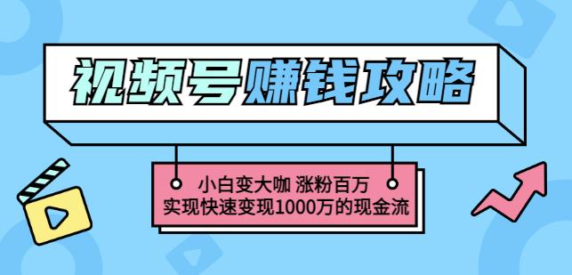 玩转微信视频号赚钱：小白变大咖涨粉百万实现快速变现1000万的现金流创业之家-网创项目资源站-副业项目-创业项目-搞钱项目创业之家