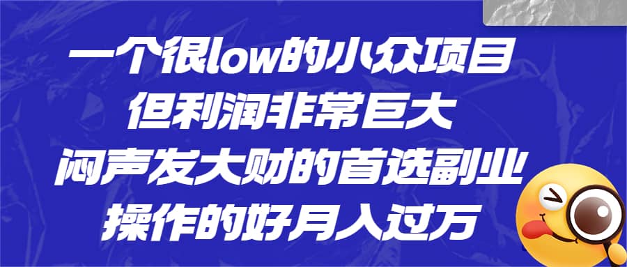 一个很low的小众项目，但利润非常巨大，闷声发大财的首选副业，月入过万创业之家-网创项目资源站-副业项目-创业项目-搞钱项目创业之家