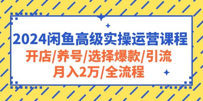 2024闲鱼高级实操运营课程：开店/养号/选择爆款/引流/月入2万/全流程创业之家-网创项目资源站-副业项目-创业项目-搞钱项目创业之家