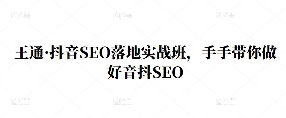 王通·抖音SEO落地实战班，手‬手带你做好音抖‬‬SEO创业之家-网创项目资源站-副业项目-创业项目-搞钱项目创业之家