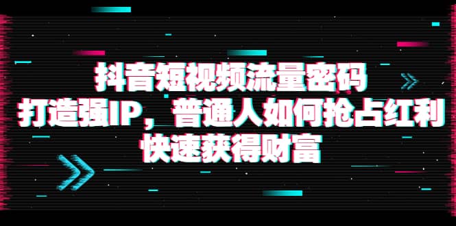 抖音短视频流量密码：打造强IP，普通人如何抢占红利，快速获得财富创业之家-网创项目资源站-副业项目-创业项目-搞钱项目创业之家