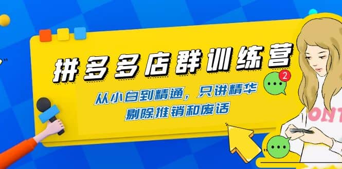 拼多多店群训练营：从小白到精通，只讲精华，剔除推销和废话创业之家-网创项目资源站-副业项目-创业项目-搞钱项目创业之家