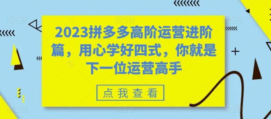 2023拼多多高阶运营进阶篇，用心学好四式，你就是下一位运营高手创业之家-网创项目资源站-副业项目-创业项目-搞钱项目创业之家