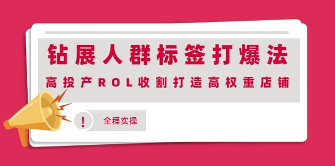 钻展人群标签打爆法，高投产ROL收割打造高权重店铺(全程实操)创业之家-网创项目资源站-副业项目-创业项目-搞钱项目创业之家