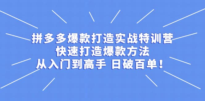 拼多多爆款打造实战特训营：快速打造爆款方法，从入门到高手 日破百单创业之家-网创项目资源站-副业项目-创业项目-搞钱项目创业之家