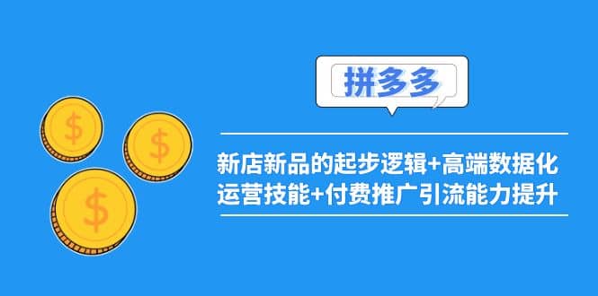 2022拼多多：新店新品的起步逻辑+高端数据化运营技能+付费推广引流能力提升创业之家-网创项目资源站-副业项目-创业项目-搞钱项目创业之家
