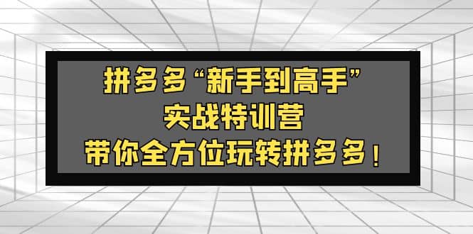 拼多多“新手到高手”实战特训营：带你全方位玩转拼多多创业之家-网创项目资源站-副业项目-创业项目-搞钱项目创业之家