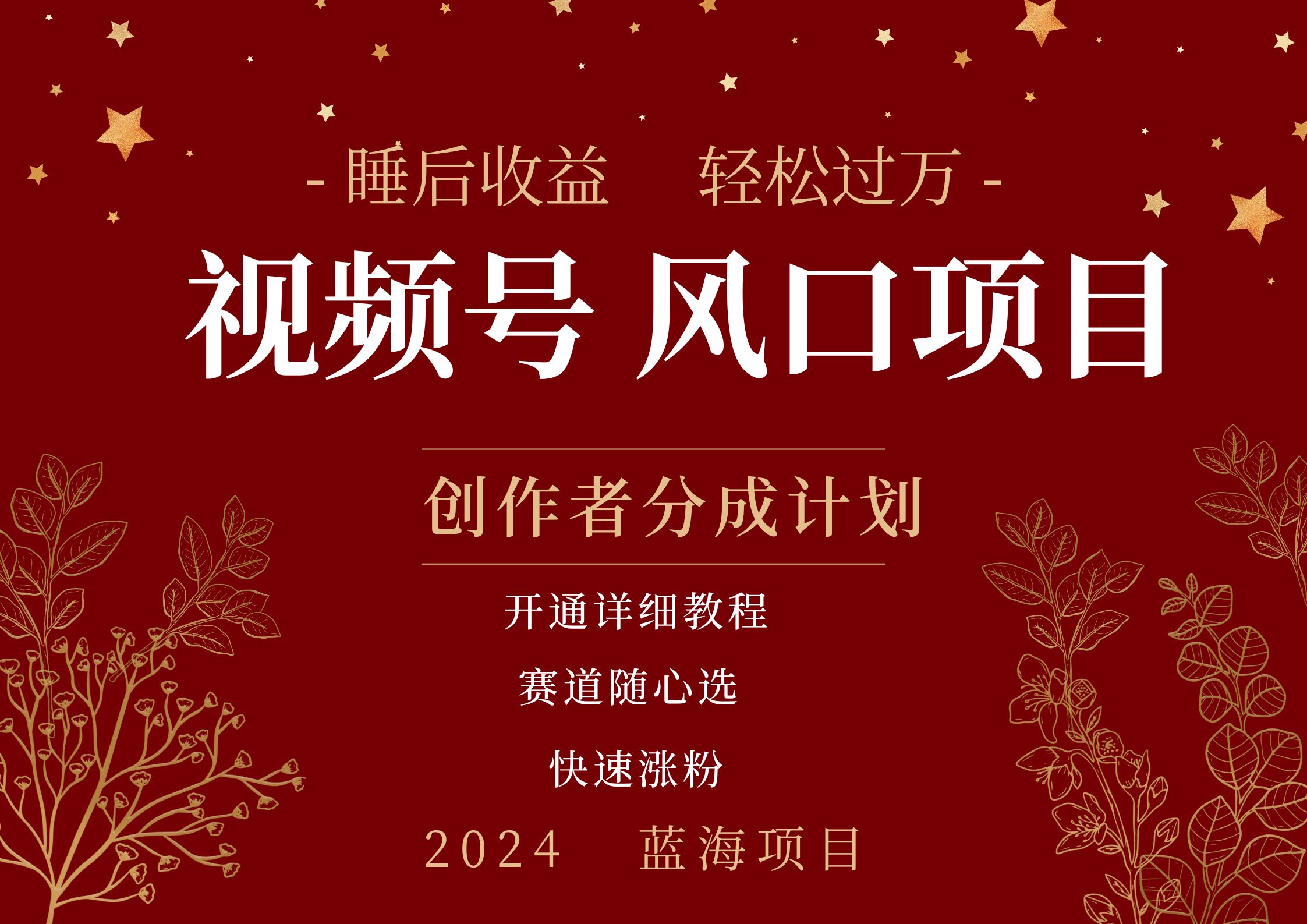 拥有睡眠收益的微信视频号大风口项目，轻松月入过万+，多赛道选择，可矩阵，玩法简单轻松上手创业之家-网创项目资源站-副业项目-创业项目-搞钱项目创业之家