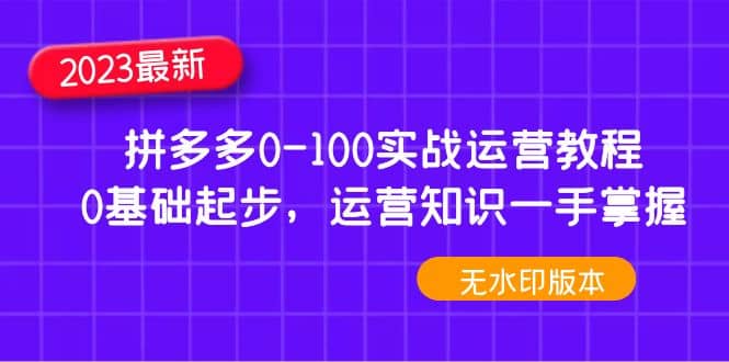 2023拼多多0-100实战运营教程，0基础起步，运营知识一手掌握（无水印）创业之家-网创项目资源站-副业项目-创业项目-搞钱项目创业之家