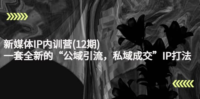 新媒体IP内训营(12期)，一套全新的“公域引流，私域成交”IP打法，直接带走创业之家-网创项目资源站-副业项目-创业项目-搞钱项目创业之家