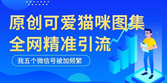 黑科技纯原创可爱猫咪图片，全网精准引流，实操5个VX号被加频繁创业之家-网创项目资源站-副业项目-创业项目-搞钱项目创业之家