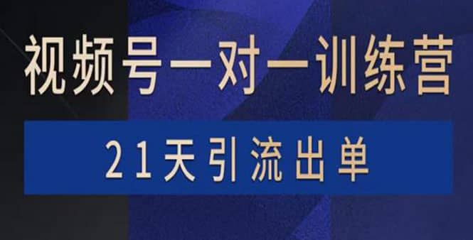 视频号训练营：带货，涨粉，直播，游戏，四大变现新方向，21天引流出单创业之家-网创项目资源站-副业项目-创业项目-搞钱项目创业之家