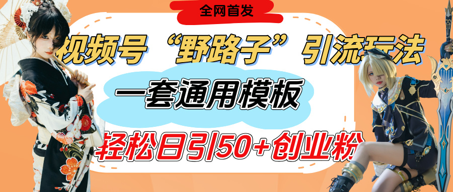 视频号“野路子”玩法，评论区疯狂截流，一套模板单日单号引流50+创业粉创业之家-网创项目资源站-副业项目-创业项目-搞钱项目创业之家