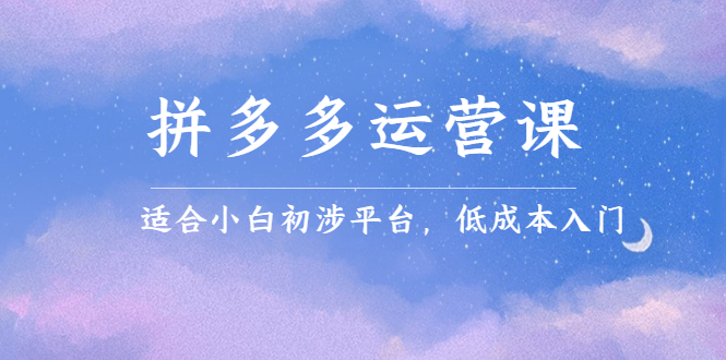 拼多多运营课，适合小白初涉平台，低成本入门创业之家-网创项目资源站-副业项目-创业项目-搞钱项目创业之家