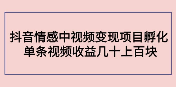抖音情感中视频变现项目孵化创业之家-网创项目资源站-副业项目-创业项目-搞钱项目创业之家
